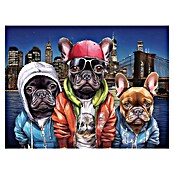 Cuadro Crazy Brooklyn (Crazy Brooklyn, An x Al: 80 x 60 cm, 1 pzs.) | BAUHAUS