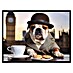 Cuadro City Bulldog 