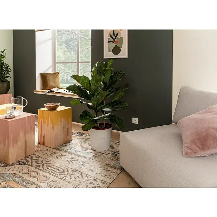 Kayoom Kurzflorteppich Indiana - Multi/Blau, 230 x 160 cm, 100 % Baumwolle - Nahaufnahme eines Wohnzimmers mit stilvollen Holzbeistelltischen, einer Zimmerpflanze und einem hellen Sofa, das ein modernes, gemütliches Ambiente schafft.