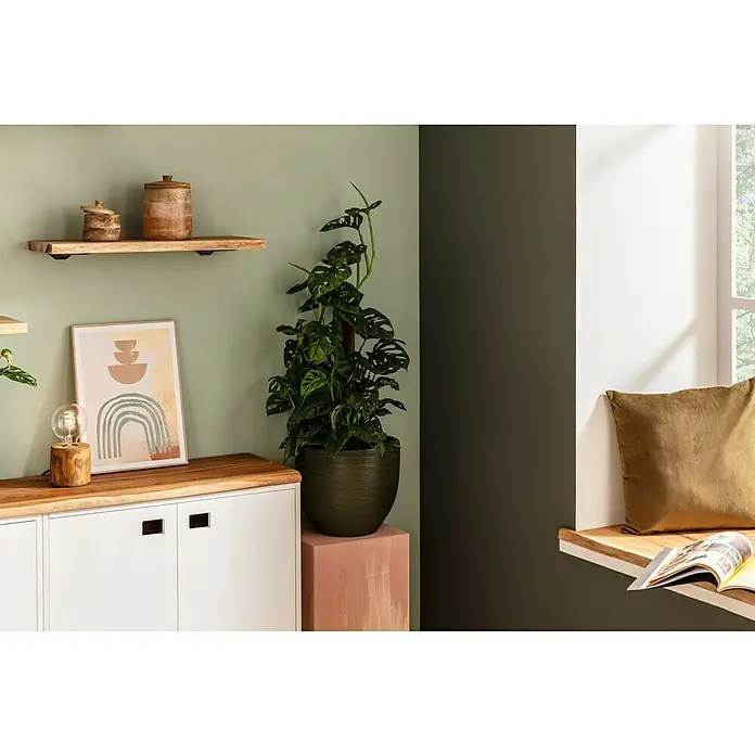 SCHÖNER WOHNEN-Farbe Naturell Wandfarbe InnenraumfarbeWeiß, Matt, 10 l, Konservierungsmittelfrei - Die Aufnahme zeigt ein stilvolles Interieur mit einem Monstera-Pflanzgefäß auf einem Podest, das eine moderne und natürliche Ästhetik ausstrahlt.