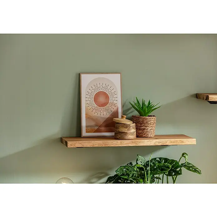 Kunstpflanze Sukkulenten - Sortiert, Höhe: 17 cm, Kunststoff - Dieses Foto zeigt ein stilvolles Wandregal aus Holz mit einer dekorativen Dose, einem Kunstwerk und einer Pflanze in einem geflochtenen Topf.