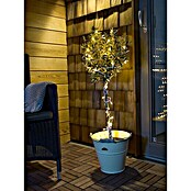 Konstsmide LED-Lichterkette Micro gefrostet (Außen, 40-flammig, 6,24 m, Warmweiß)
