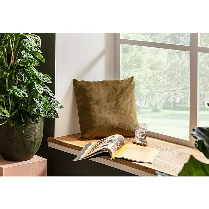 SCHÖNER WOHNEN-Farbe Naturell Wandfarbe InnenraumfarbeWeiß, Matt, 10 l, Konservierungsmittelfrei - Dekokissen in Erdtönen auf einer Fensterbank mit einer Zeitschrift und einem Glas Wasser, neben einer Pflanze.