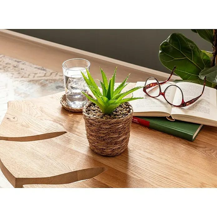 Untersetzer - 4 Stk., Durchmesser: 9 cm, Natur, Seegras - Nahaufnahme eines Holztisches mit einer Sukkulente im Topf, einem Glas Wasser und einem Buch mit Brille.