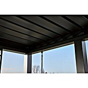 Sunfun Pérgola para barbacoa Laos (An x Pr: 342 x 168 cm, Color del armazón: Negro, Aluminio) | BAUHAUS