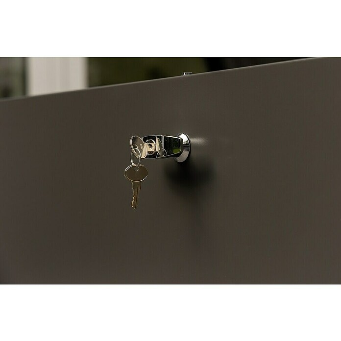 Telluria Gartenbox Nevio 180 (L x B x H: 185 x 85 x 85 cm, Stahl, Anthrazit) | BAUHAUS