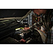 Ryobi 4V USB Akku-Stableuchte RLI4-120G (4 V, 1 Akku, 2 Ah) | BAUHAUS