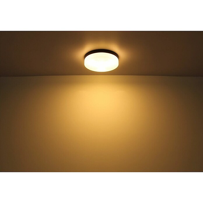 Globo Plafón para pared y techo exterior Vranos (40 W, Ø x Al: 24 x 6,5 cm, Negro, IP44) | BAUHAUS
