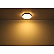 Globo Plafón para pared y techo exterior Vranos (40 W, Ø x Al: 24 x 6,5 cm, Negro, IP44) | BAUHAUS