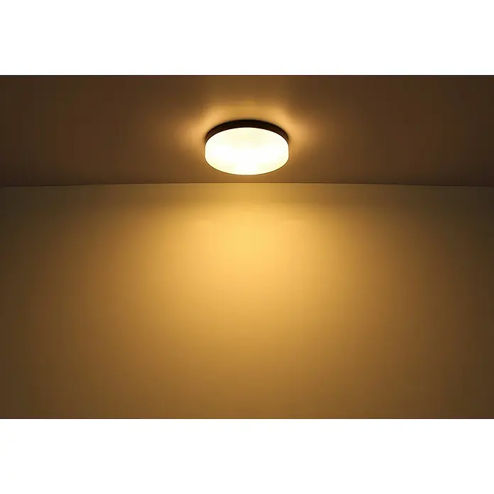 Globo Außenwand- & Deckenleuchte Vranos - 40 W, Ø x H: 24 x 6,5 cm, Anthrazit, IP44 - Schlichte Deckenleuchte mit rundem Lampenschirm, die ein warmes, einladendes Licht in den Raum wirft und für eine gemütliche Atmosphäre sorgt.