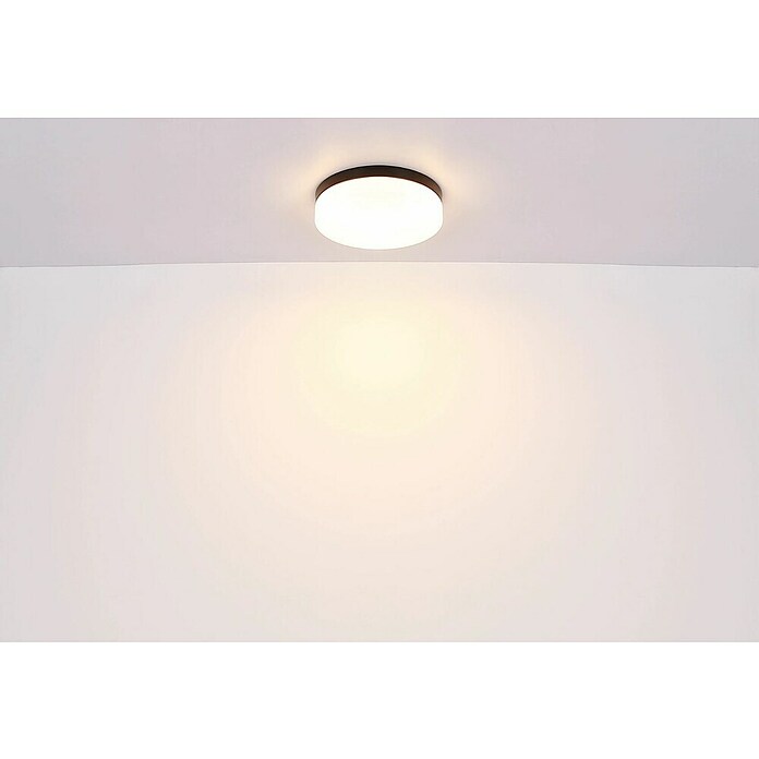 Globo Außenwand- & Deckenleuchte Vranos (60 W, Ø x H: 30 x 6,5 cm, Anthrazit, IP44) | BAUHAUS