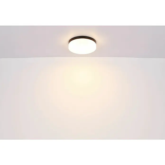 Globo Plafón para pared y techo exterior Vranos - 60 W, Ø x Al: 30 x 6,5 cm, Negro, IP44 - Una moderna lámpara de techo redonda con un suave brillo, ideal para interiores elegantes. La lámpara combina funcionalidad con un diseño minimalista.