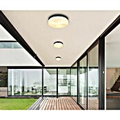 Globo Vanjska zidna i stropna svjetiljka Vranos  (60 W, Ø x V: 30 x 6,5 cm, Crna, Opal, IP44) | BAUHAUS