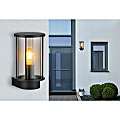 Globo Aplique exterior Gracey (60 W, 14,3 x 14,3 x 25,2 cm, Antracita, IP54, Sin sensor) | BAUHAUS