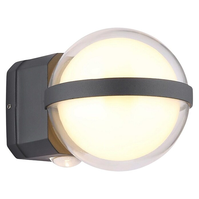 Globo Vanjska LED svjetiljka Illi  (Boja kućišta: Crna, IP54, 12 W) | BAUHAUS