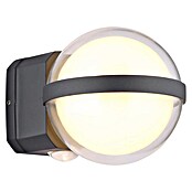 Globo Vanjska LED svjetiljka Illi  (Boja kućišta: Crna, IP54, 12 W) | BAUHAUS