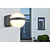 Globo Vanjska LED svjetiljka Illi  (Boja kućišta: Crna, IP54, 12 W) | BAUHAUS