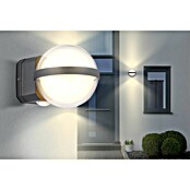 Globo Vanjska LED svjetiljka Illi  (Boja kućišta: Crna, IP54, 12 W) | BAUHAUS