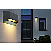 Globo Vanjska zidna svjetiljka Honna  (7 W, D x Š x V: 6,5 x 14,5 x 10 cm, Antracit siva, IP54) | BAUHAUS