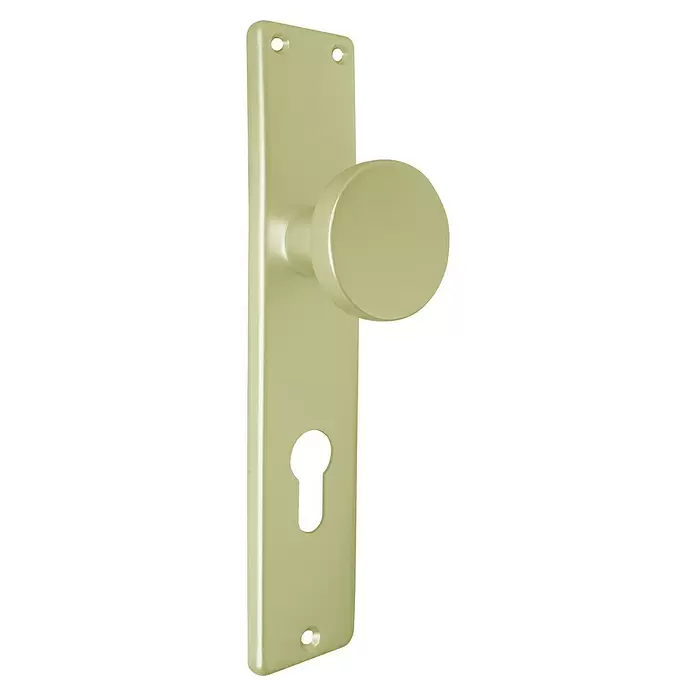 Lienbacher Zimmertürgarnitur Europa - Stärke Tür: 30 mm - 60 mm, Profilzylinder PZ, Aluminium, Gold - Blassgrünes Türdrückerset mit rechteckiger Rosette, rundem Knauf und Schlüsselloch.