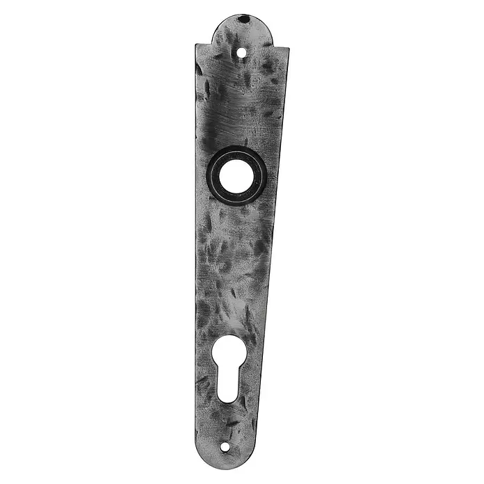 Lienbacher Langschild Dorellla - Profilzylinder PZ, Silber - Verwitterte dunkelgraue Metall-Türplatte mit rundem Griffloch und Schlüsselloch.