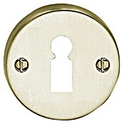 Lienbacher Rozeta okrogle oblike BB  (Premer: 50 mm, Aluminij, Srebrne barve) | 1133 - Zubehör für Tür- u. Fensterbeschläge | AAEA - Tür und Fensterbeschläge | AAE - Beschläge | AA - Eisenwaren | A - Eisenwaren | BAUHAUS