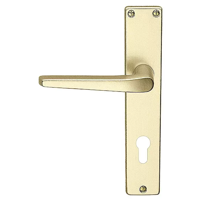 Lienbacher Wechselgarnitur Europa - Stärke Tür: 30 mm - 60 mm, Gold - Champagnerfarbener Metalltürgriff mit Schild und Schlüsselloch.