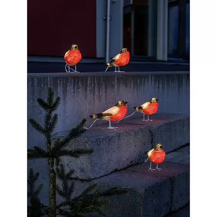 Konstsmide LED-Lichterkette Rotkehlchen - Außen, Lichtfarbe: Kaltweiß, Anzahl Leuchtmittel: 40 Stk., Netzbetrieben - Stimmungsaufnahme