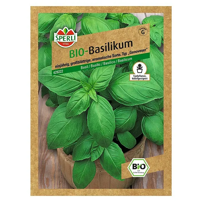 Sperli Kräutersamen Basilikum - Bio Basilikum, Ocimum basilicum, Saatzeit: Mai, Erntezeit: Ganzjährig - Samenpackung Bio-Basilikum 'Genoveser' von Sperli. Einjährig, großblättrig, aromatisch. Ideal für Topf und Kübel, nach EG-Öko-Verordnung.