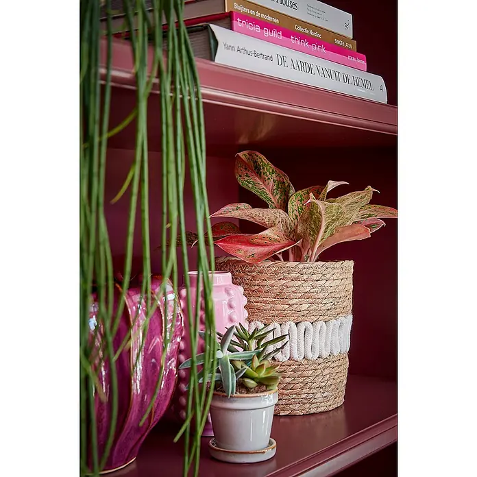 Mica Decorations Übertopf rund Clint - Außenmaß (Ø x H): 7,5 x 7,5 cm, Weiß, Keramik - Nahaufnahme eines Bücherregals mit Büchern, Pflanzen und dekorativen Vasen in Rosa- und Grüntönen.