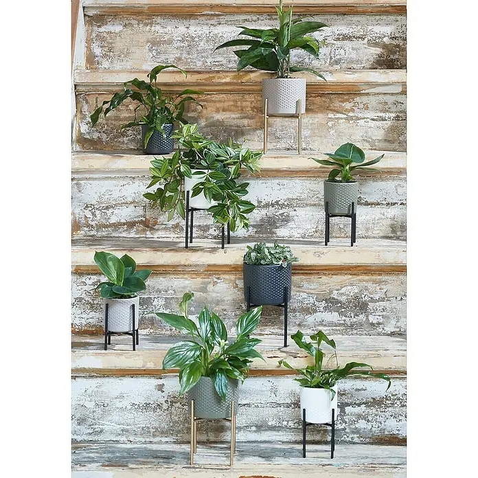 Mica Decorations Übertopf rund Era - Außenmaß (Ø x H): 7 x 7 cm, Matt Schwarz, Keramik - Pflanzen in dekorativen Töpfen auf einem Regal. Die Töpfe sind in verschiedenen Farben und Größen gehalten.
