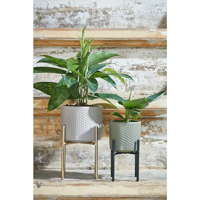 Mica Decorations Übertopf rund Era - Außenmaß (Ø x H): 7 x 7 cm, Grün, Keramik - Zimmerpflanzen in stilvollen, genoppten Übertöpfen auf goldenem und schwarzem Metallgestell.