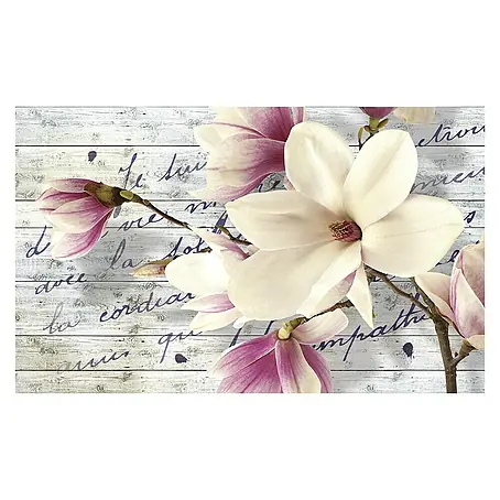 Fototapete Magnolie