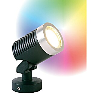 Garden Lights Led-tuinspot (5 W, RGB, IP44)