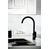 Imex Bélgica Grifo de cocina (Negro) | BAUHAUS