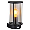 Globo Außenwandleuchte Gracey (60 W, 14,3 x 14,3 x 25,2 cm, Anthrazit, IP54, Mit Sensor) | BAUHAUS