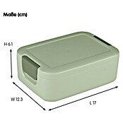 Sunware Sigma home Lunchbox (L x B x H: 17 x 12,3 x 6,1 cm, Grün) | BAUHAUS