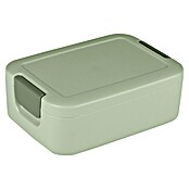 Sunware Sigma home Lunchbox (L x B x H: 17 x 12,3 x 6,1 cm, Grün) | BAUHAUS