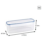 Sunware Frischhaltedose Basic (L x B x H: 31,2 x 11 x 11 cm, Transpatent) | BAUHAUS