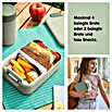 Sunware Sigma home Lunchbox (L x B x H: 17 x 12,3 x 6,1 cm, Grün) | BAUHAUS