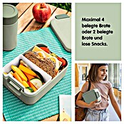 Sunware Sigma home Lunchbox (L x B x H: 17 x 12,3 x 6,1 cm, Grün) | BAUHAUS