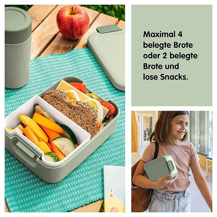 Sunware Sigma home Lunchbox - L x B x H: 17 x 12,3 x 6,1 cm, Grün - Lunchbox mit Fächern für Brot, Gemüse und Snacks. Perfekt für unterwegs, hält die Mahlzeit frisch und ordentlich.