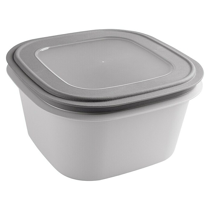 Sunware Sigma home Frischhaltedose (L x B x H: 23 x 23 x 12,4 cm, Grau, 3,8 l) | BAUHAUS