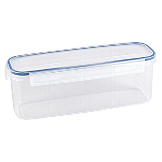 Sunware Frischhaltedose Basic (L x B x H: 31,2 x 11 x 11 cm, Transpatent)
