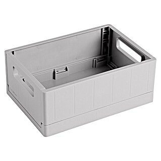 Sunware Sigma home Klappbox (L x B x H: 17,5 x 12,5 x 7 cm, Grau)