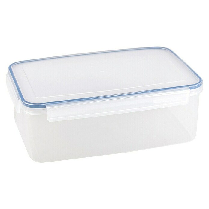 Sunware Frischhaltedose Basic (L x B x H: 31,2 x 22 x 11 cm, Transpatent) | BAUHAUS