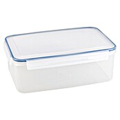 Sunware Frischhaltedose Basic (L x B x H: 31,2 x 22 x 11 cm, Transpatent) | BAUHAUS