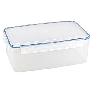 Sunware Frischhaltedose Basic (L x B x H: 31,2 x 22 x 11 cm, Transpatent)