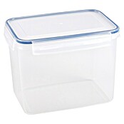 Sunware Frischhaltedose Basic (L x B x H: 22 x 15,6 x 16,4 cm, Transpatent) | BAUHAUS