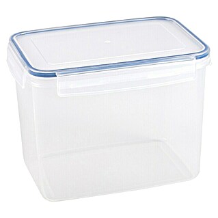 Sunware Frischhaltedose Basic (L x B x H: 22 x 15,6 x 16,4 cm, Transpatent)